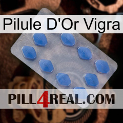 Vigra Gold Pill 21